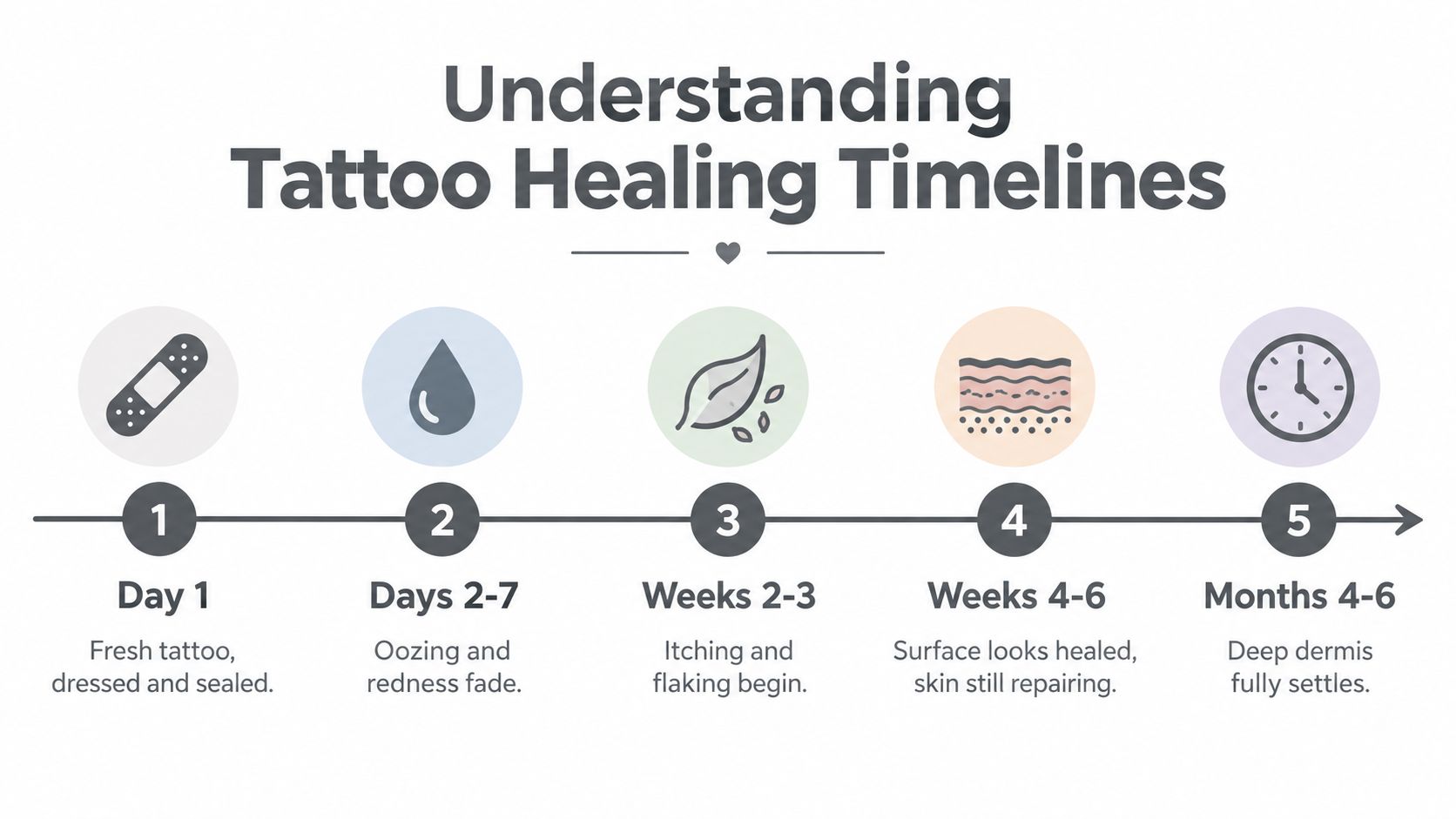 An infographic showing the five stages of the tattoo healing process from the first day to six months.